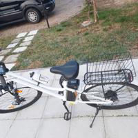EBIKE DONNA