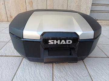 Bauletto  Shad SH51