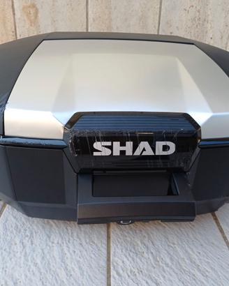Bauletto  Shad SH51