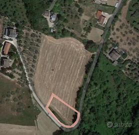 Terreno agricolo Contrada Colle Passeri, Cappelle