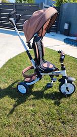 Triciclo elite biemme trike