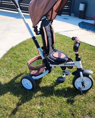 Triciclo elite biemme trike