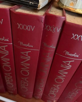 Libri