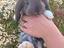 Immagine 4