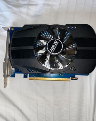 Scheda video Gt1030 Asus ddr5