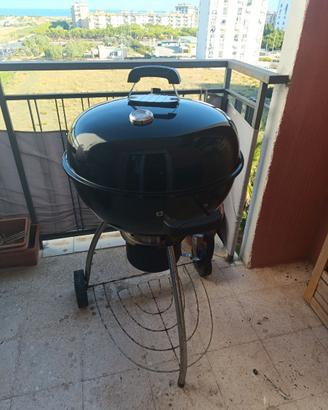 Barbecue da giardino