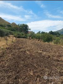 Terreno in contrada sorgiva Scillato