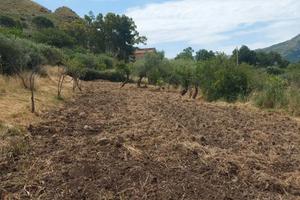 Terreno in contrada sorgiva Scillato