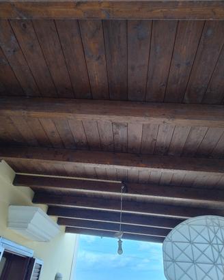 Tettoia in legno 