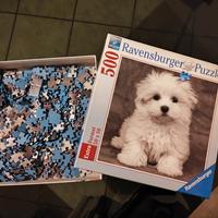 Puzzle  - Cucciolo di Maltese - 500 pezzi 