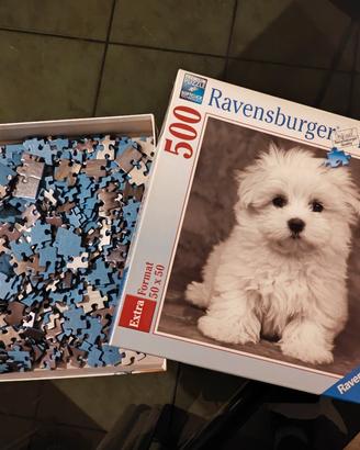 Puzzle  - Cucciolo di Maltese - 500 pezzi 