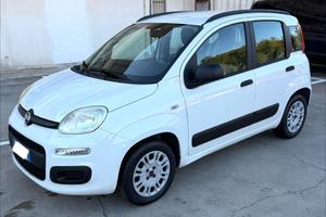 Fiat Panda 1.2 BENZ 69 CV Easy DA AMATORE