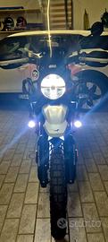 Royal enfield himalayan 450 tubeless