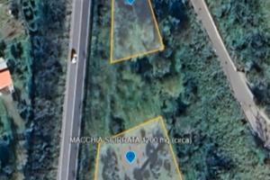 terreno agricolo con uliveto 