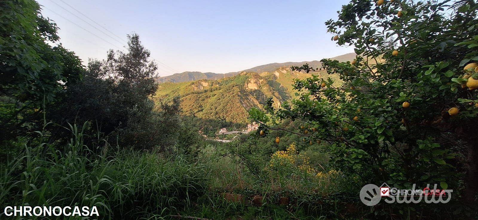 Rometta, terreno terrazzato di circa 2300 mq - Vista 4