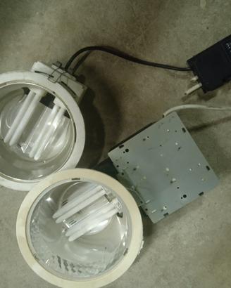 lampada