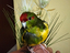 Immagine 1