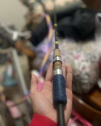 Canna da spinning G-Loomis E6X