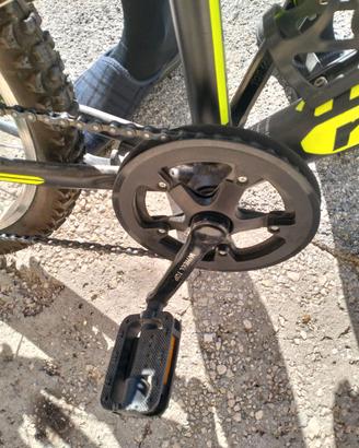 Bicicletta montana spidy