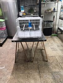 Piccoli e accessori per tutti