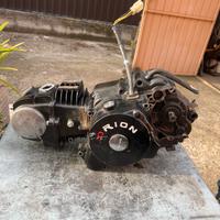motore pit bike 125 orion