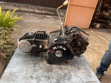 motore pit bike 125 orion