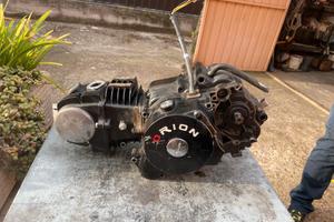 motore pit bike 125 orion