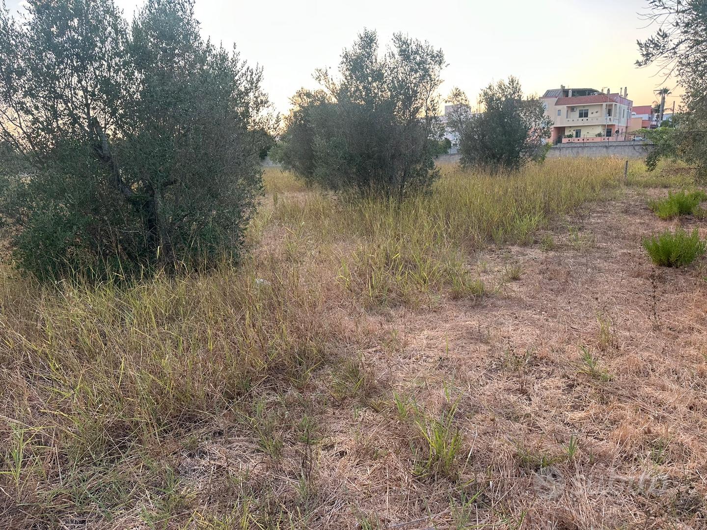 Terreno agricolo - Vista 4