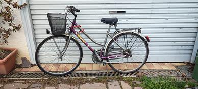 Bicicletta Moser 
