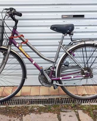Bicicletta Moser 