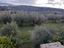 Immagine 20