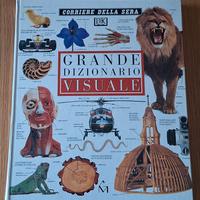 libro: "Grande dizionario visuale"