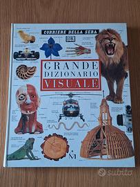 libro: "Grande dizionario visuale"