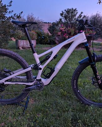 Specialized Stumpjumper misura S3