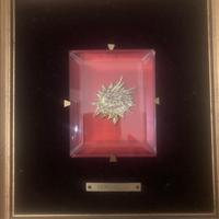 Ippogrifo argento Dorato Verginelli