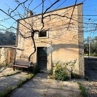 RUSTICO A MOLFETTA