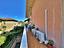 Immagine 15
