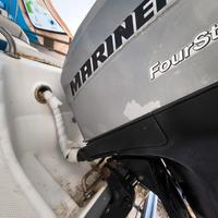 Fuoribordo 75/90 Mercury / Mariner 4 tempi