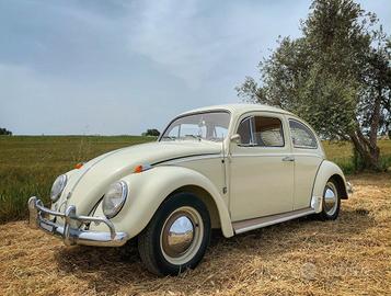 Volkswagen Maggiolino