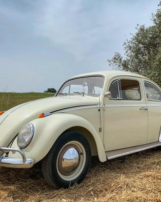 Volkswagen Maggiolino