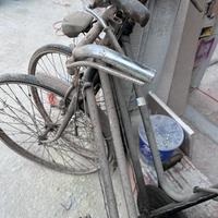 Bicicletta a bacchetta