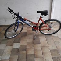 bicicletta MTB 