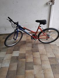 bicicletta MTB 