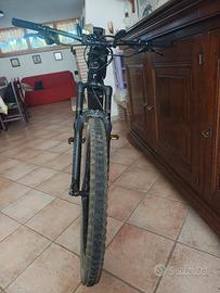 e-bike Olympia 