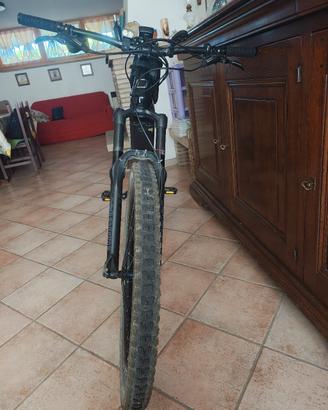 e-bike Olympia 