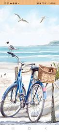 Bicletta da mare