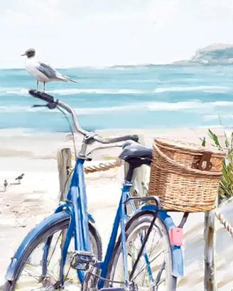Bicletta da mare