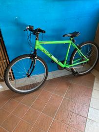 Bici da ragazzi