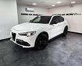 alfa-romeo-stelvio-2-2-turbodiesel-190-cv-at8-supe