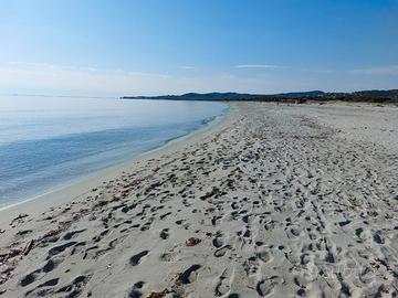 Disponibile dal 25 giugno al 13 luglio